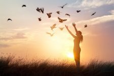 Do You Have Freedom in Your Relationship?
