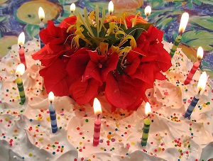 Do You Have Birthday Traditions You Look Forward to Each Year? (Birthday Week, Part 2)