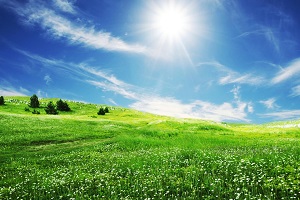 Four Benefits of Sunshine to your Health and Well-Being (Fun in the Sun, Part 2)
