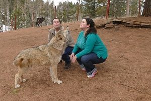 Our Ultimate Date: Dancing with Wolves!