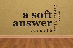 A Soft Answer Turns Away Wrath (Experience Wisdom from Proverbs, Part 2)